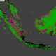 Illustration for article titled Global Forest Change, 2000-2013